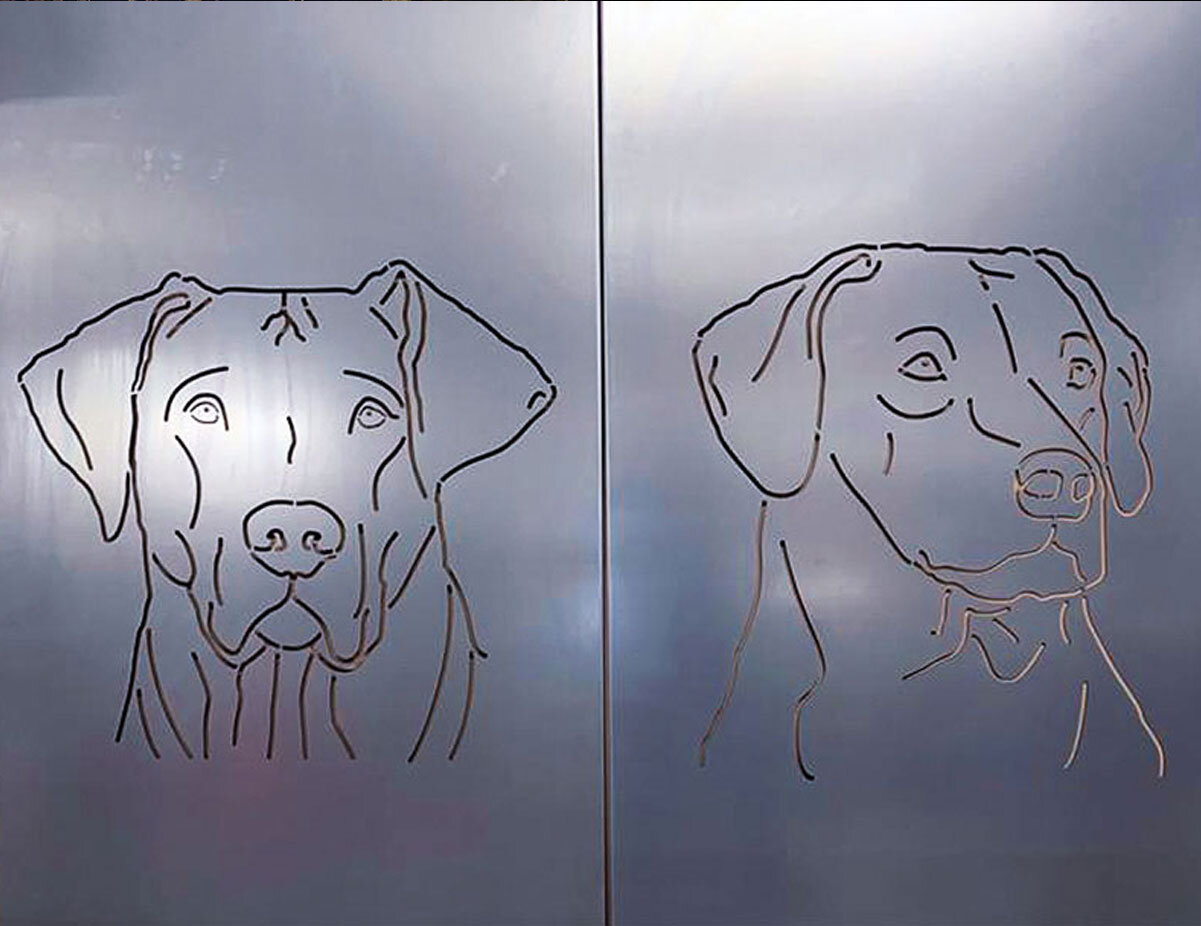 Sichtschutzwände mit Motiv Hundeköpfe nach Fotovorlage