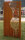 PARAS Sichtschutzwand, Motiv Bäume, 900 x 1800 x 2 mm, 30 mm gekantet, Cortenstahl
