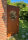 PARAS Sichtschutzwand, Motiv Rundes Ornament, 900 x 1800 x 2 mm, 30 mm gekantet, Cortenstahl