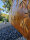 PARAS Sichtschutzwand, Motiv Schilf, 1400 x 1800 x 2 mm, 30 mm gekantet, Cortenstahl