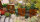 PARAS Sichtschutzwand, Motiv Rebe, 1400 x 1800 x 2 mm, 30 mm gekantet, Cortenstahl