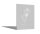 PARAS Sichtschutzwand, Motiv Gecko, 1400 x 1800 x 2 mm, 30 mm gekantet, Edelstahl einseitig geschliffen