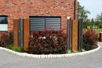 PARAS Sichtschutzwand, Motiv Pusteblume, 450 x 1800 x 2 mm, 28 mm gekantet, Cortenstahl