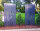 PARAS Sichtschutzwand, Motiv Rohrkolbenschilf, 900 x 1800 x 2 mm, 30 mm gekantet, Alu, RAL * pulverbeschichtet