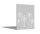 PARAS Sichtschutzwand, Motiv Pusteblume, 1400 x 1800 x 2 mm, 30 mm gekantet, Edelstahl einseitig geschliffen