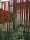 PARAS Sichtschutzwand, Motiv AVANTGARDE Typ 1, 900 x 1800 x 2 mm, 30 mm gekantet, Cortenstahl