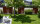 PARAS Sichtschutzwand, Motiv Rohrkolbenschilf, 900 x 1800 x 2 mm, 30 mm gekantet, Cortenstahl