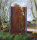 PARAS Sichtschutzwand, Motiv Bambus, 900 x 1800 x 2 mm, 30 mm gekantet, Cortenstahl